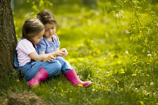 Cute little girls on the farm — Stock Photo, Image