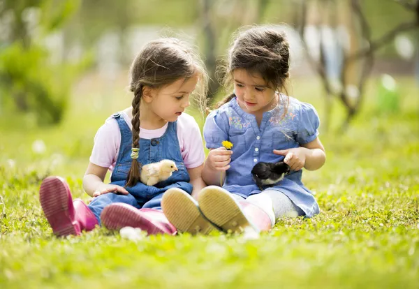 Две маленькие девочки с цыплятами — стоковое фото