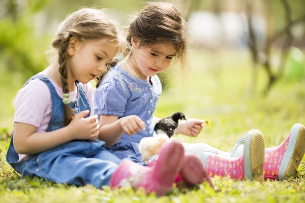 Twee kleine meisjes met kippen — Stockfoto