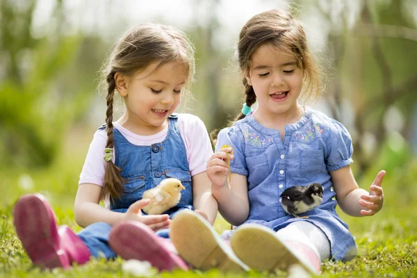 닭과 두 소녀 — 스톡 사진