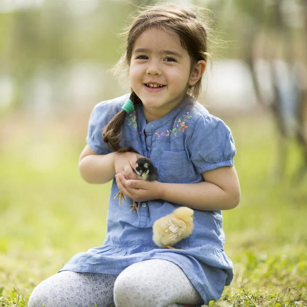 Linda niña con los pollos — Foto de Stock