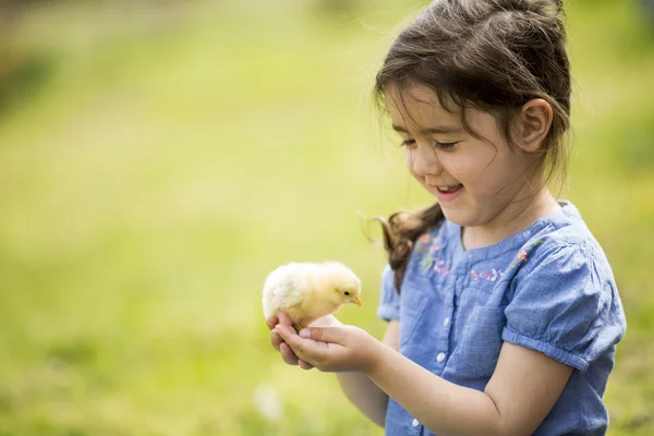 可爱的小女孩跟鸡 — 图库照片