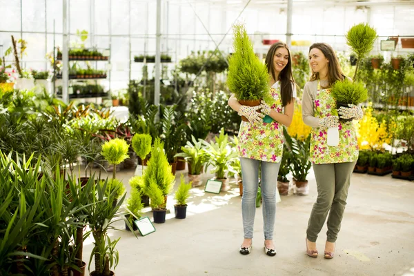 Mujeres jóvenes en jardín de flores — Foto de Stock