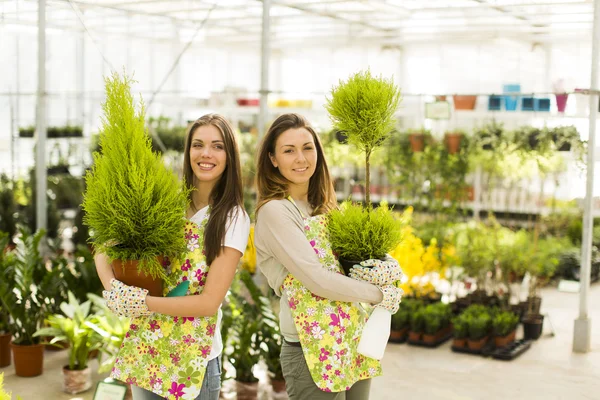 Junge Frauen im Blumengarten — Stockfoto