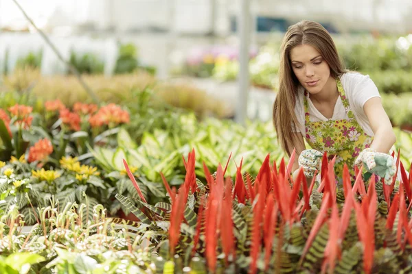 花の庭で若い女性 — ストック写真