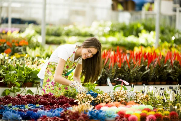 Mujer joven en jardín de flores —  Fotos de Stock