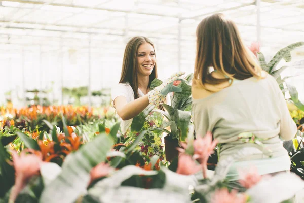 花の庭で若い女性 — ストック写真