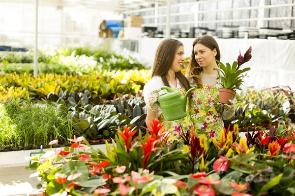 Mujeres jóvenes en el jardín de flores — Foto de Stock