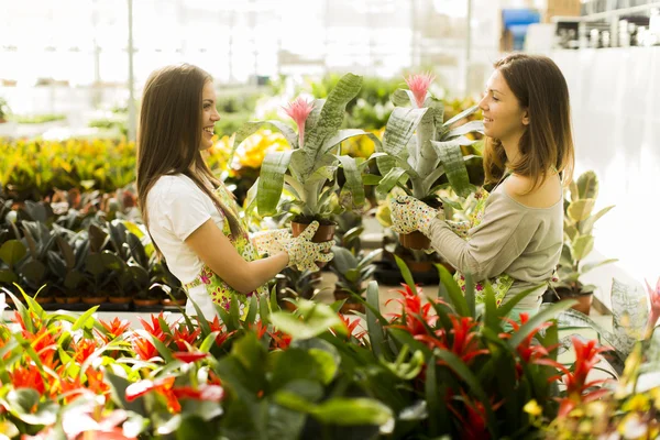 花の庭で若い女性 — ストック写真