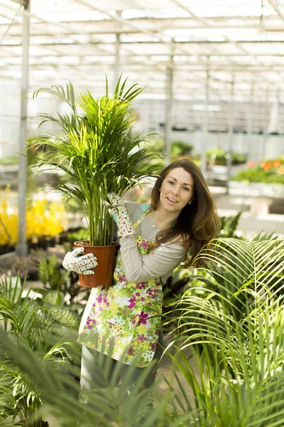 Mujer joven en el jardín de flores — Foto de Stock