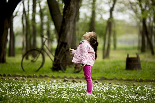 Little girl in the spring field — Stock Photo, Image