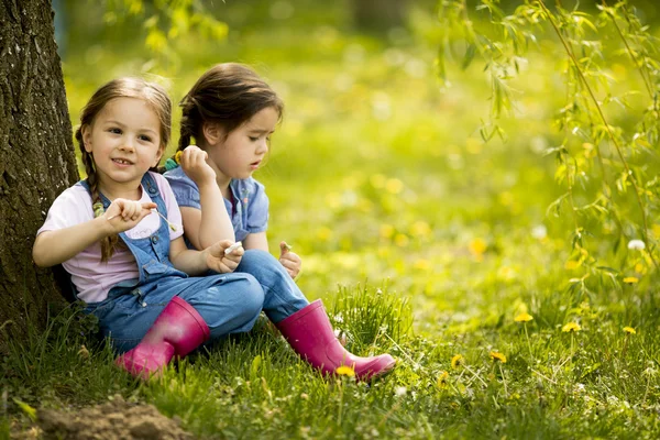 Two little girls at the farm — Stock Photo, Image