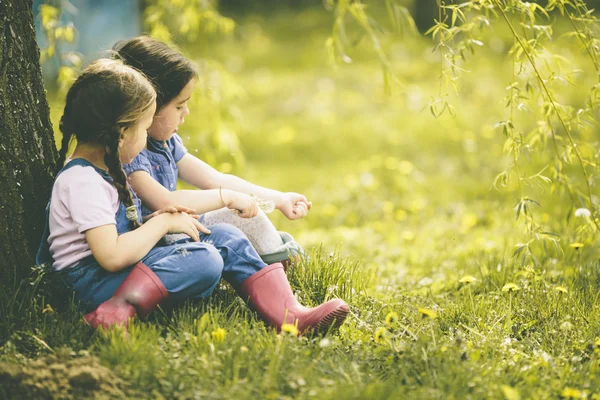 Two little girls at the farm — Stock Photo, Image