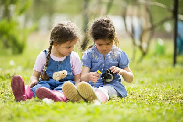 Two little girls with chickens — Stock Photo, Image