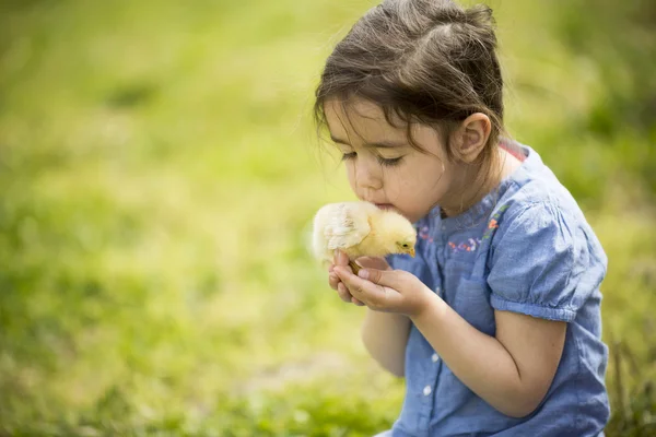 Menina bonito com frango — Fotografia de Stock