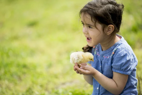 Ragazza carina con pollo — Foto Stock