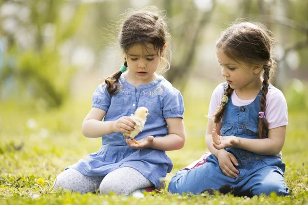 Two little girls with chickens — Stock Photo, Image