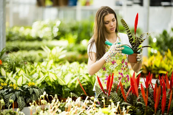 Mujer joven en jardín de flores —  Fotos de Stock