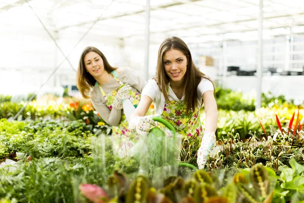 Junge Frauen im Blumengarten — Stockfoto