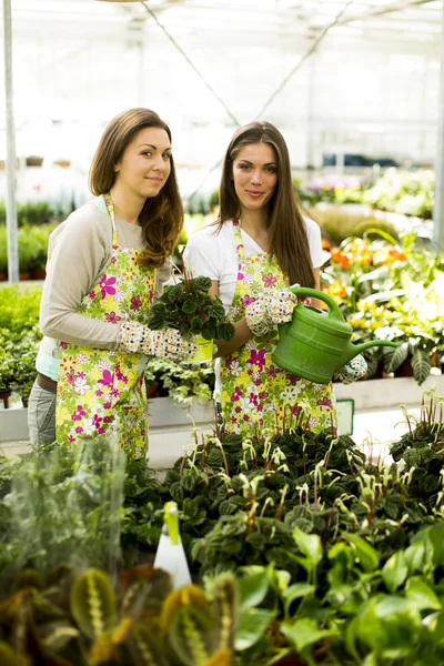 Jonge vrouwen in bloementuin — Stockfoto