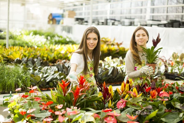 Jonge vrouwen in bloementuin — Stockfoto