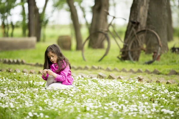 Cute little girl at the spring field — Stock Photo, Image