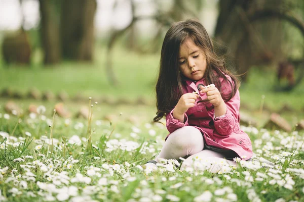 Bambina nel campo primaverile — Foto Stock