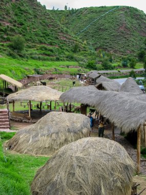 awana kancha Lama çiftlik Peru