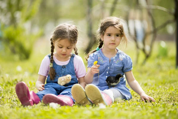 Дві маленькі дівчата з курчатами — стокове фото