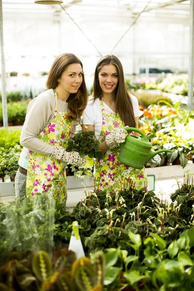 Young women in flower garden — Stock Photo, Image