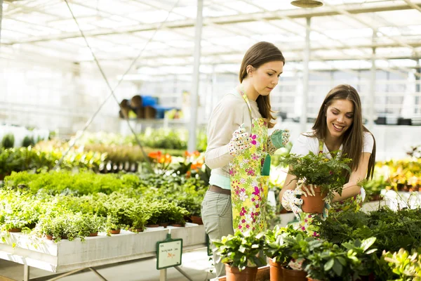 Jonge vrouwen in de tuin — Stockfoto