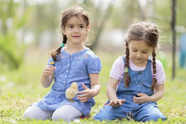 Two little girls with chickens — Stock Photo, Image