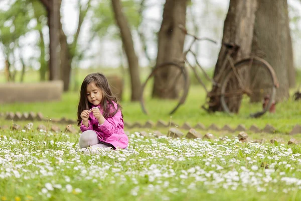 Little girl at the spring field — Stock Photo, Image