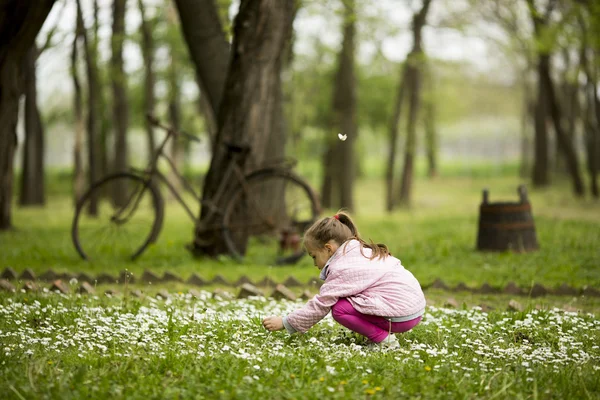 Маленька дівчинка на весняному полі — стокове фото