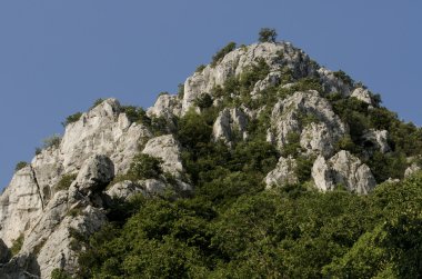Tuna gorge Sırbistan