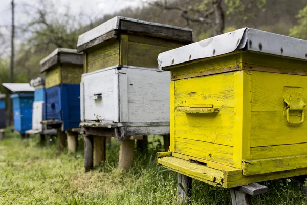 Beehives — Stock Photo, Image