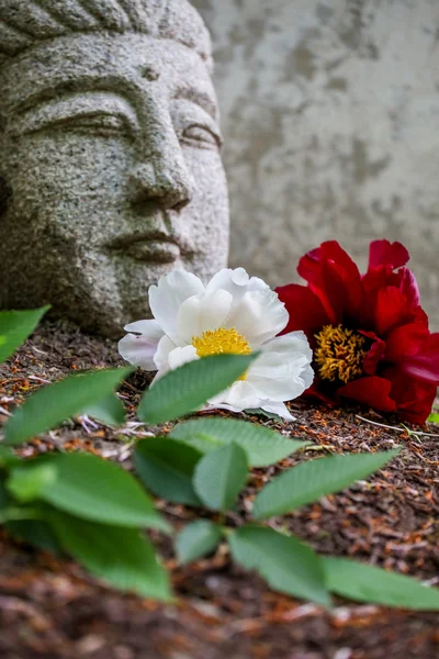 Zen Bahçesi — Stok fotoğraf