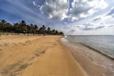 Negombo plajı, Sri Lanka
