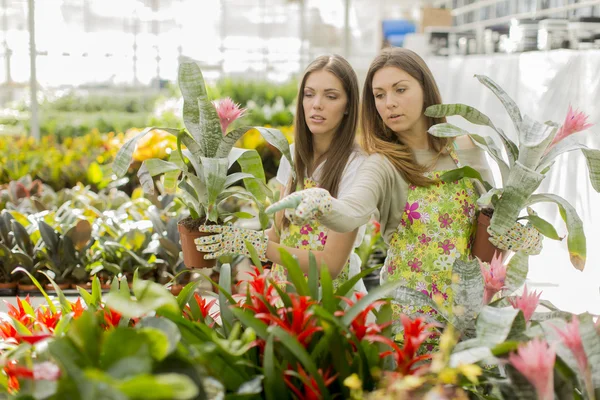 Young women in flower garden — Stock Photo, Image