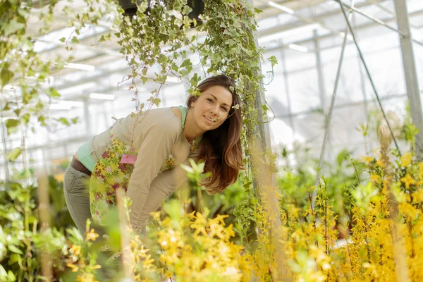 Young woman in flower garden — Stock Photo, Image
