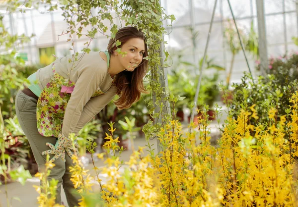 Mladá žena v květinové zahradě — Stock fotografie