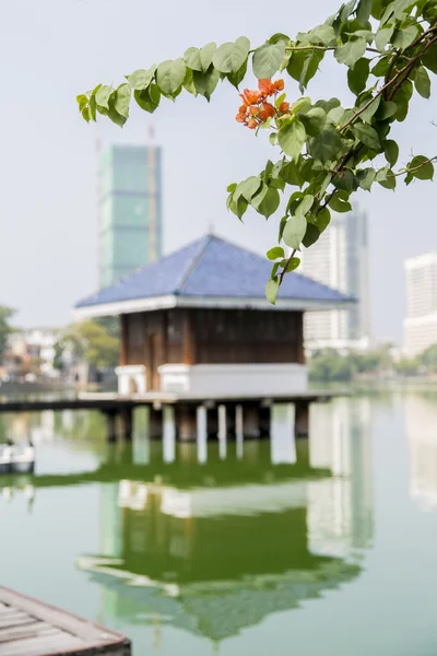 Tempio di Gangaramaya a Colombo, Sri Lanka — Foto Stock