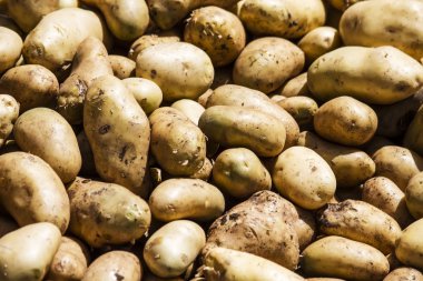 Patates.