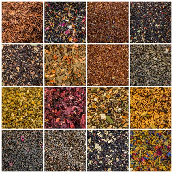 Various teas — Stock Photo, Image