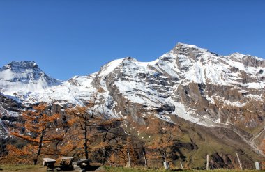 Alp Dağları
