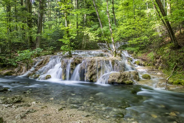 Small cascade — Stock Photo, Image