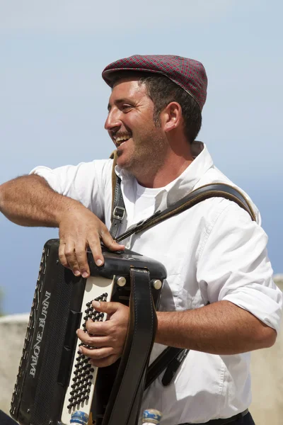 Accordion player — Stock Photo, Image