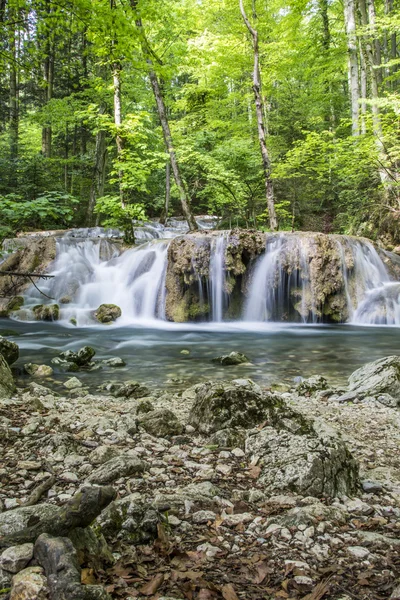 Pequeña cascada — Foto de Stock