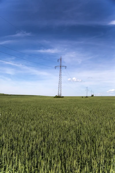 Лінії електропередач — стокове фото