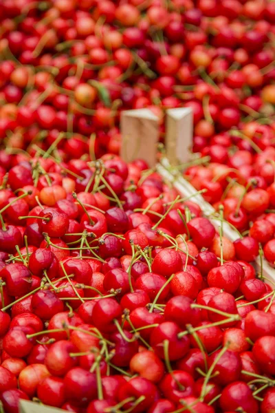 Cerejas doces — Fotografia de Stock